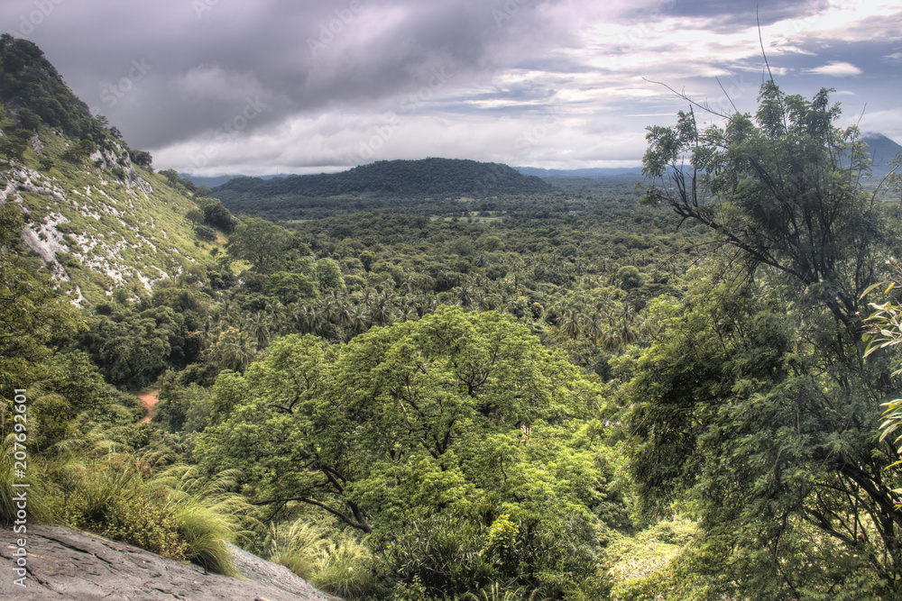 View over the jungle in Dambulla, Sri Lanka.