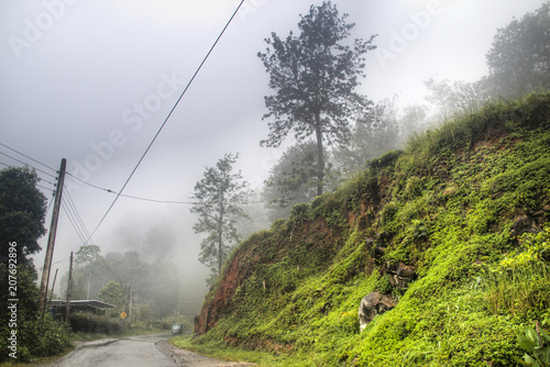 Tea plantations around Kandy, Sri Lanka. © waldorf27