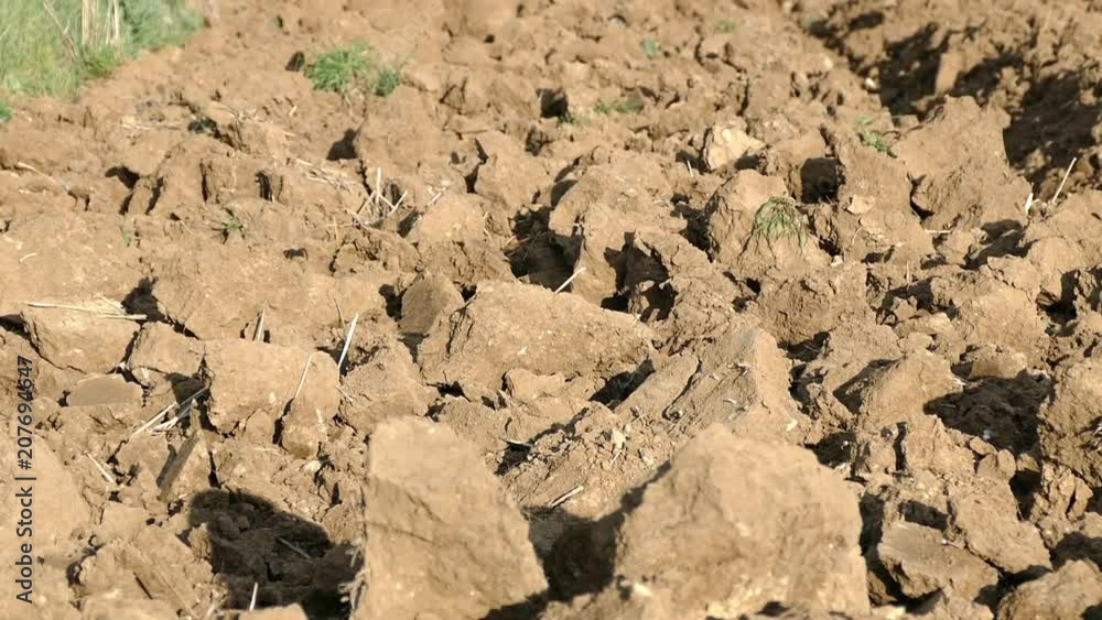 fields reserved for fallow
fallow fields made
fallow fields made in turkey
fields reserved for fallow
fallow fields made
fallow fields made in turkey