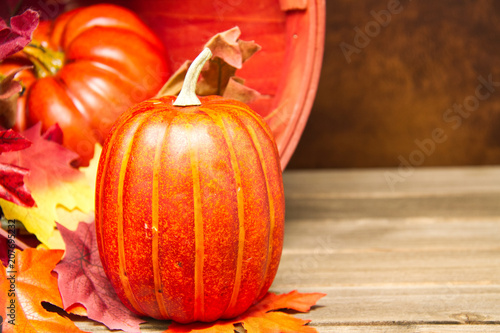 A fall themed background featuring a small pumpkin in focus with an out of focus background with a bucket and fall foliage.