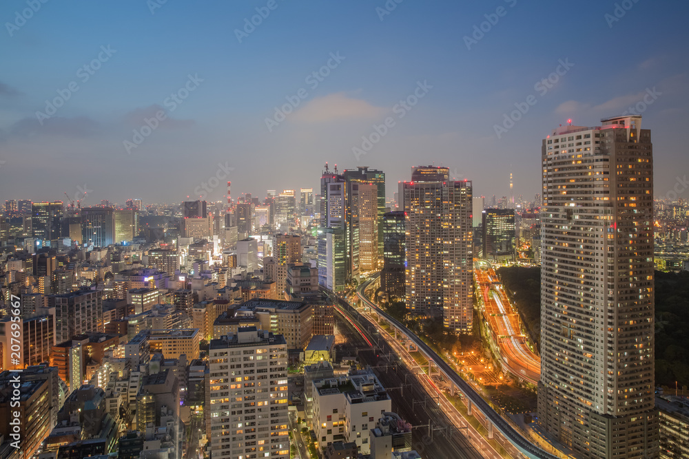 Night view of Tokyo city with high building and expressway