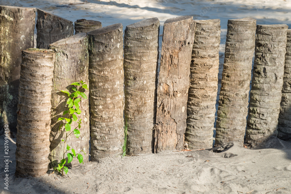 palm tree trunk wood fence in the beach palm tree trunk wood fence in the beach