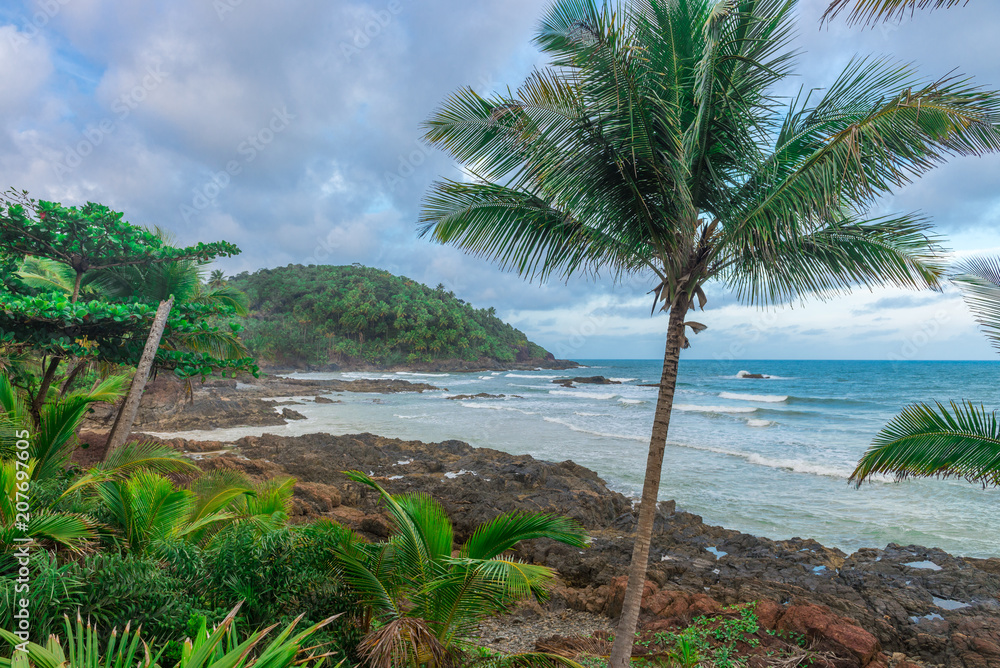 Fototapeta premium impressive paradise beach at the Itacare Bahia Brazil