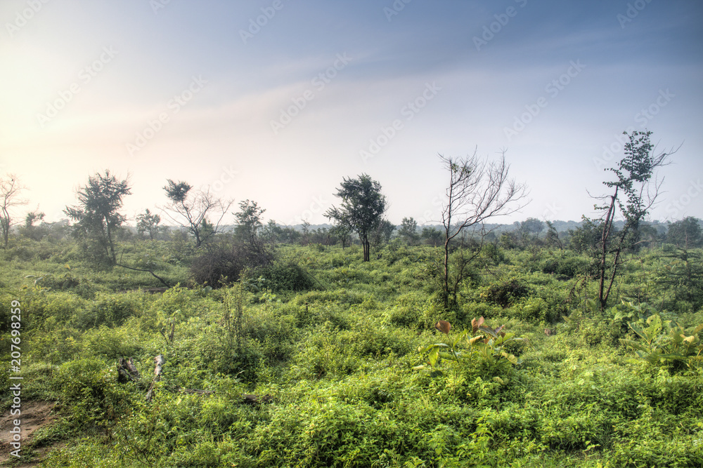 Landscape in Udawalawe, Sri Lanka.