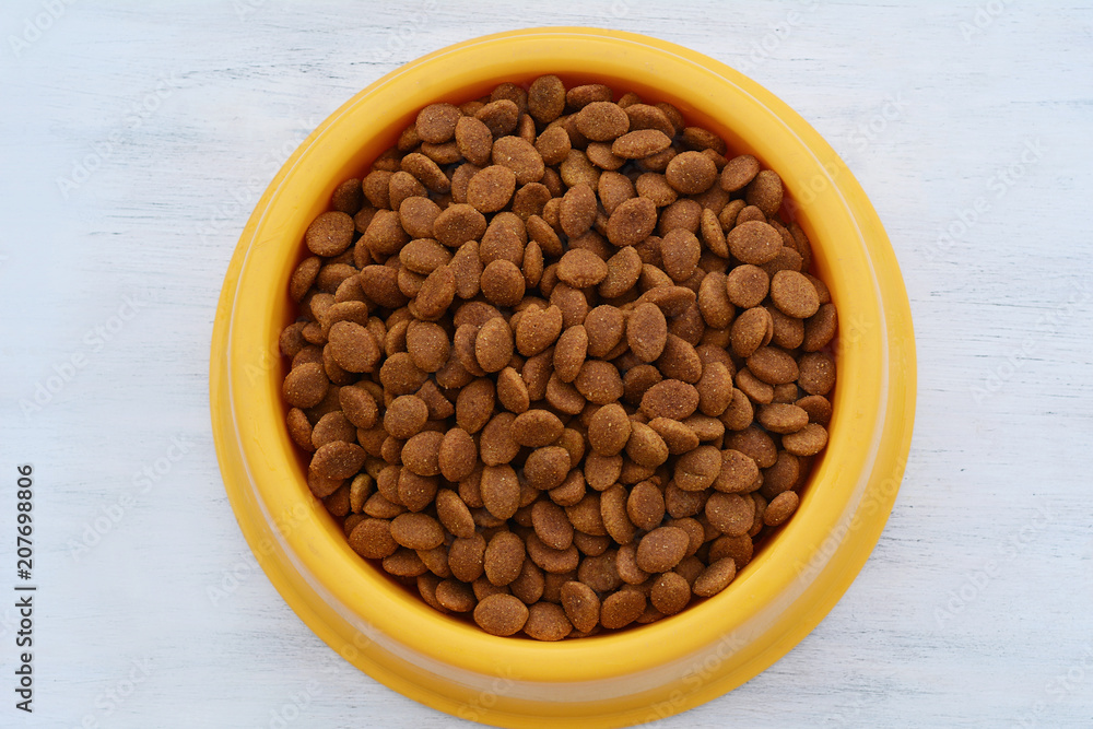 Yellow plastic bowl full with dog food Yellow plastic bowl full with dog food