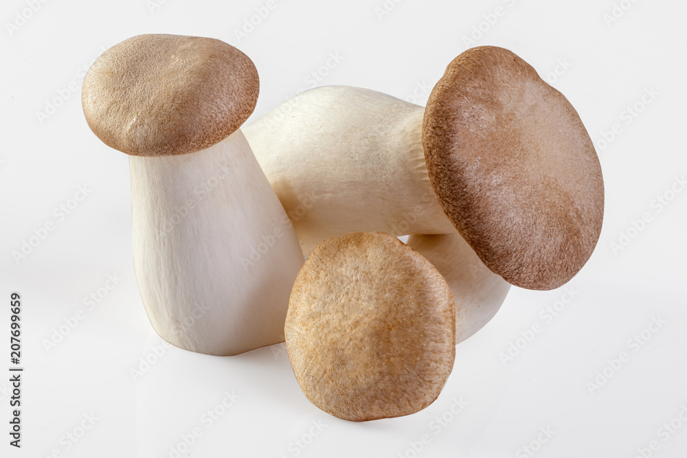 King Oyster mushroom (Eringi) on white backgroud. King Oyster mushroom (Eringi) on white backgroud.