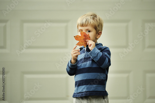 Portrait of cute funny adorable smiling boy autumn fall leaf
