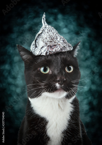 Fototapeta Naklejka Na Ścianę i Meble -  Black and white tuxedo cat  in a tin foil hat
