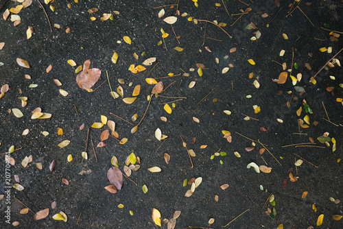 People start to feel. Changes in the weather start to cool, so the leaves begin to discolor and decay. Fall on the street