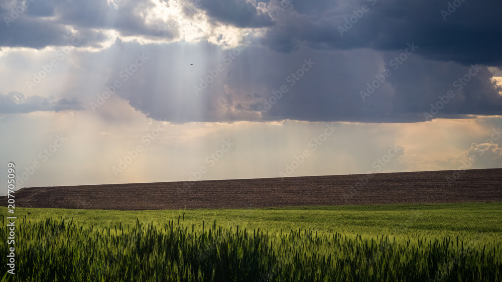 God rays in The Palouse late afternoon God rays in The Palouse late afternoon