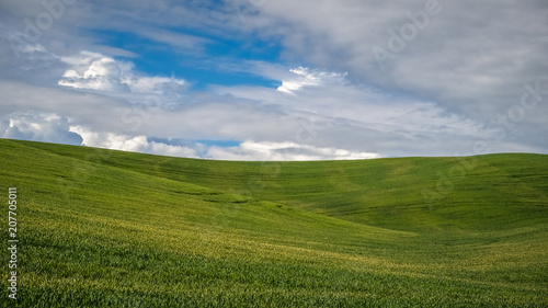 Rolling hills of The Palouse