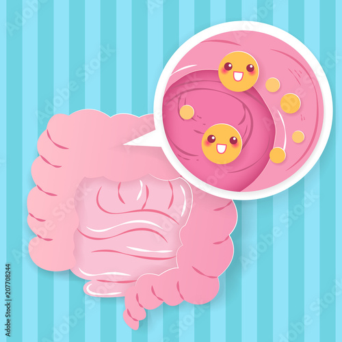 intestine with with probiotics