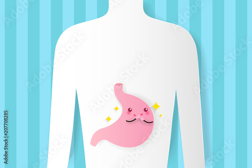 stomach with health concept