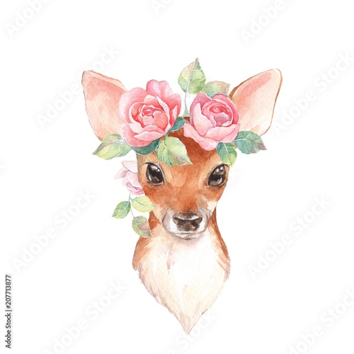 Baby Deer and flowers. Hand drawn cute fawn. Watercolor illustration