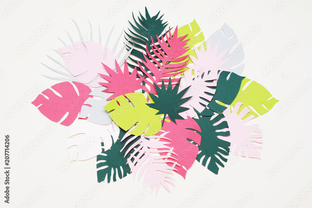 Fototapeta Palmowe zielone liście tropikalne egzotyczne drzewo Isoalted na białym tle. Kwadratowy obraz. Szablon świąteczny wzór liścia