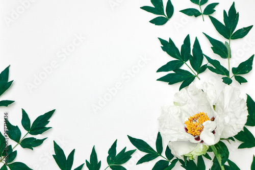 Fototapeta Naklejka Na Ścianę i Meble -  Branch with leaves and flower wite peony as frame on white