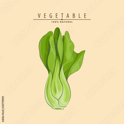 green bok choy