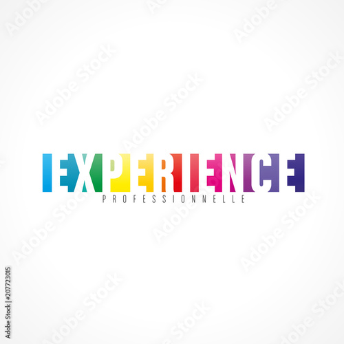 expérience professionnelle