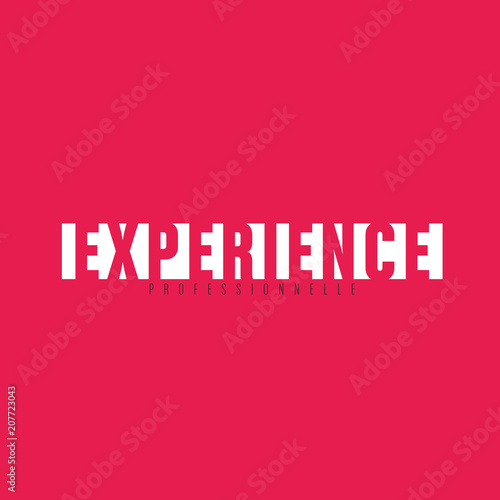 expérience professionnelle