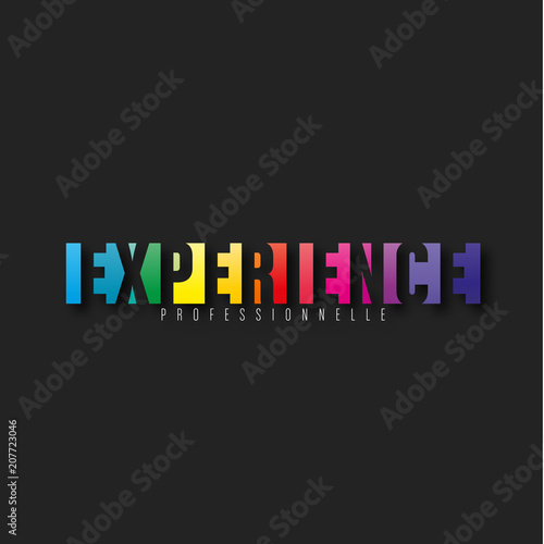 expérience professionnelle