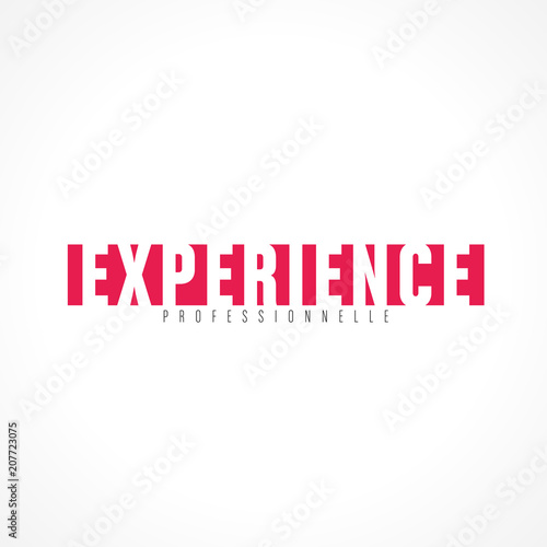 expérience professionnelle