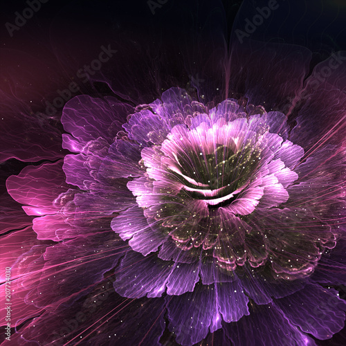 abstract flower  computer generated graphic