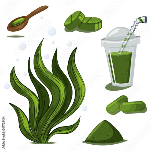 Spirulina plant, powder, pills, capsules and smoothies. Vector cartoon set of seaweed and medicine drug isolated on white background.