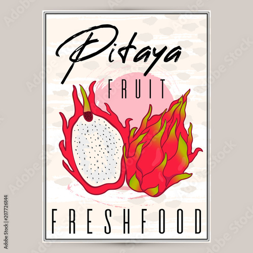 Vector styled fresh pitaya poster label. Nature product, farm organic. Tropical dragonfruit