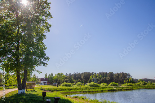 A place for fishing, reeds, a pond, the sky. photo