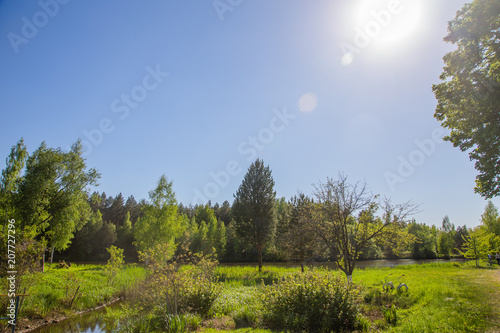 A place for fishing, reeds, a pond, the sky. photo