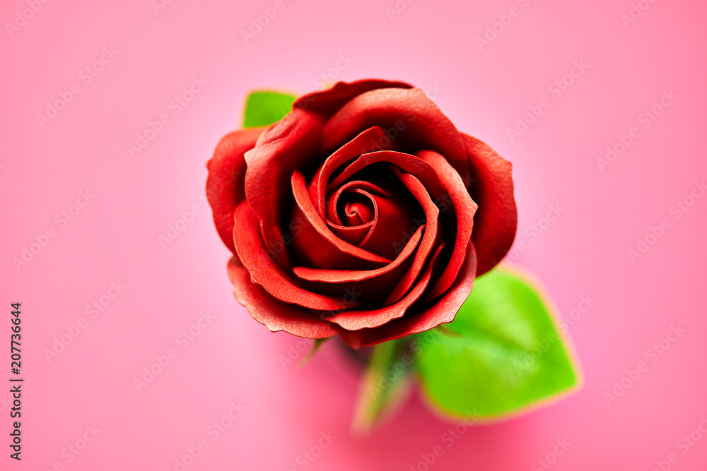 Minimalistic of an artificial red rose image photographed in studio isolated on pink background Minimalistic of an artificial red rose image photographed in studio isolated on pink background