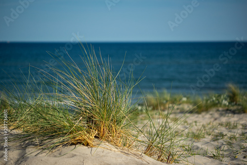 Fototapeta Naklejka Na Ścianę i Meble -  Ostsee Beach