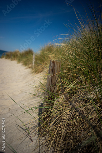 Dune 4