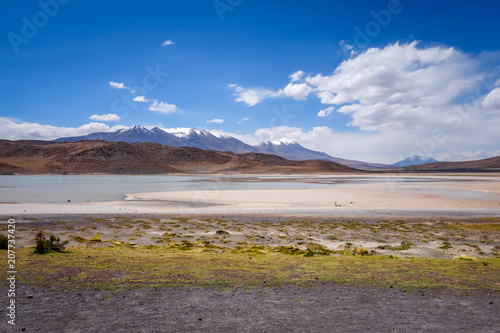 Laguna Honda in sud Lipez Altiplano reserva  Bolivia