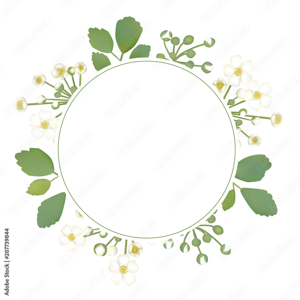 Flowers. Floral background. Wreath. Round frame. White buds. Small inflorescences. Green leaves. Flower pattern. Vector.