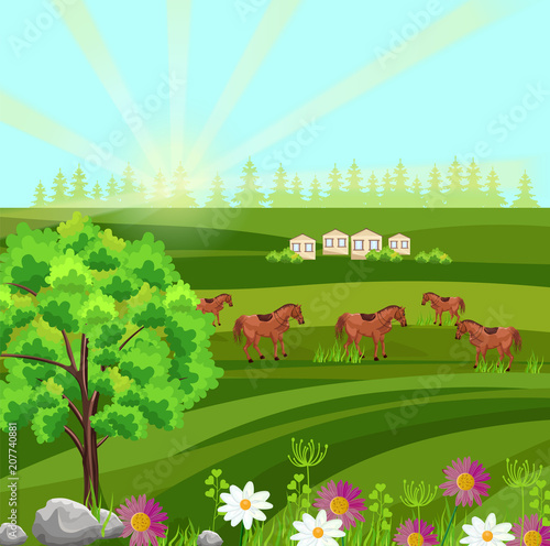 Horses on a green field Vector. Farm ville sunny summer day backgrounds