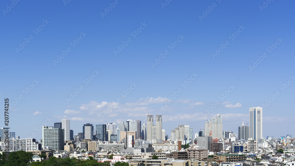 Fototapeta premium Krajobraz Tokio
