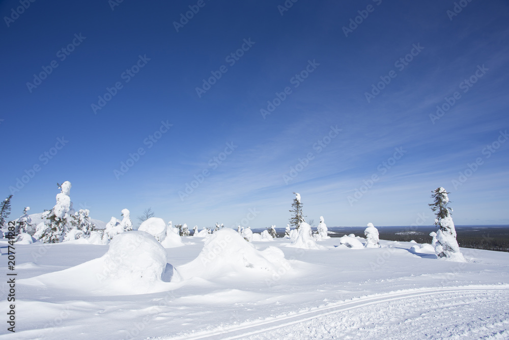 雪景色 フィンランド ロバニエミ 雪景色 フィンランド ロバニエミ