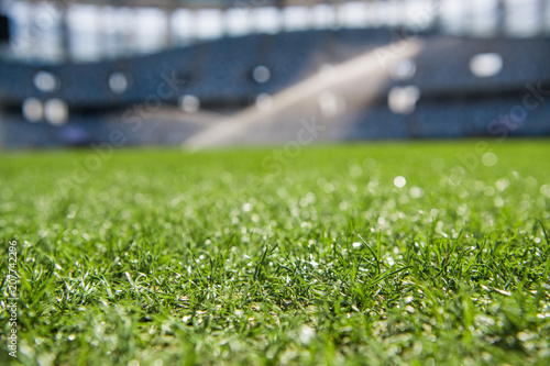 Grass on stadium in sunlight. Closeup of a green football field. Wet stadium grass in the morning light during watering irrigation. Close up macro of soccer or football field. green grass field