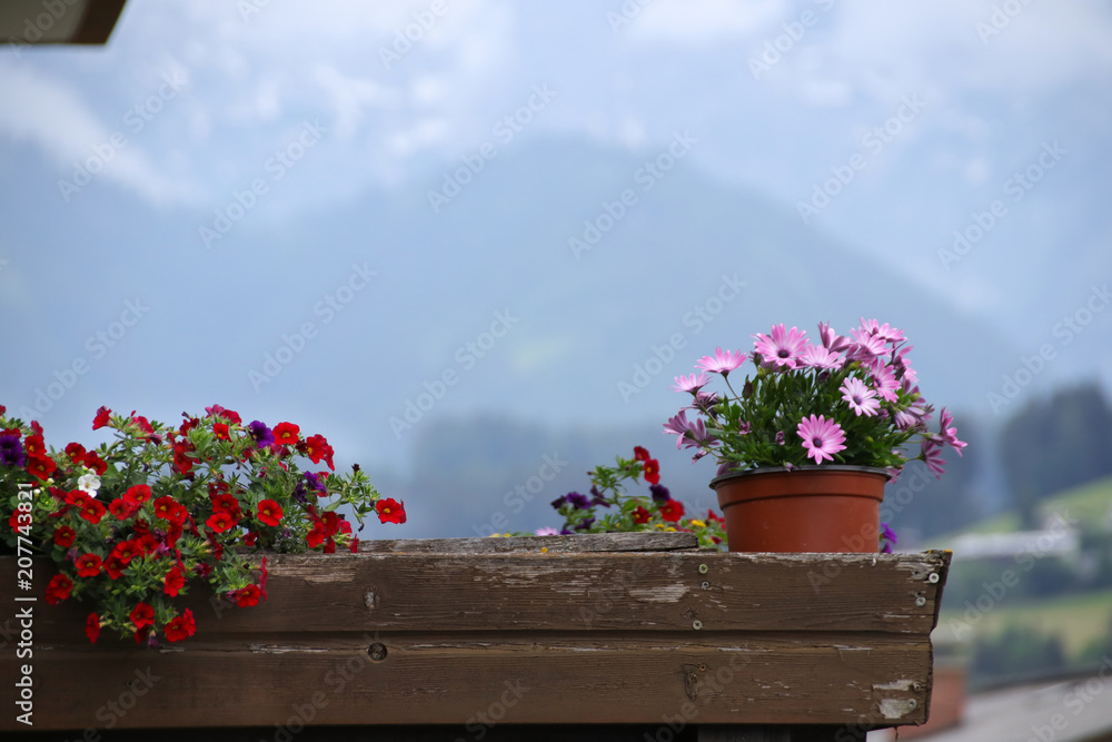 Holzbalkon, Blumenkasten, Bergpanorama, Bischofshofen, Österreich Stock  Photo | Adobe Stock