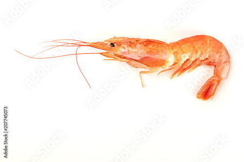 Overhead photo of a raw shrimp on white, with copy space