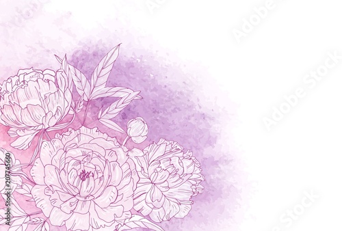 Beautiful horizontal floral backdrop decorated with blooming pink peonies at left bottom corner