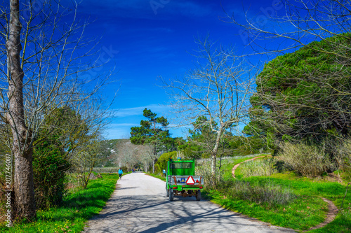 The trail, the pedestrian in the valley of the Alcabrichel River, surrounded by evergreen trees on steep hills. People walking along the road. Landscape near Vimeiro in Portugal. photo