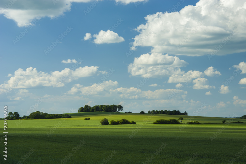 Green fields, hillside trees and clouds in the sky