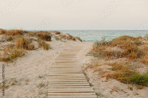 Obraz na płótnie Payment Management Wooden path over the sand of the beach dunes