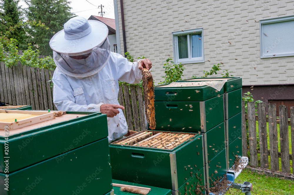 beekeeper with honey rigs frames beekeeper with honey rigs frames