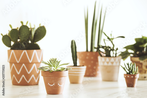 Modern composition of home garden filled a lot of plants in different hipster pots on the marble table. White background wall of home garden.