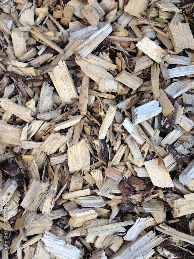 Holzspähne als Hintergrund Holzspähne als Hintergrund