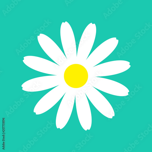 Fototapeta Naklejka Na Ścianę i Meble -  White daisy chamomile flower round icon. Cute plant collection. Camomile petal. Love card. Growing concept. Flat design. Green background. Isolated.