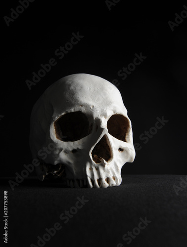 portrait of a human skull, photographed on black studio background.